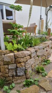 bepflanzte Trockenmauer aus Muschelkalk